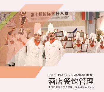 上云展網，餐飲信息咨詢產品畫冊的全新升級之旅