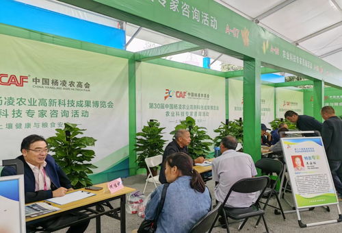 第三十屆中國楊凌農業高新科技成果博覽會開幕，聚焦前沿技術與創新咨詢